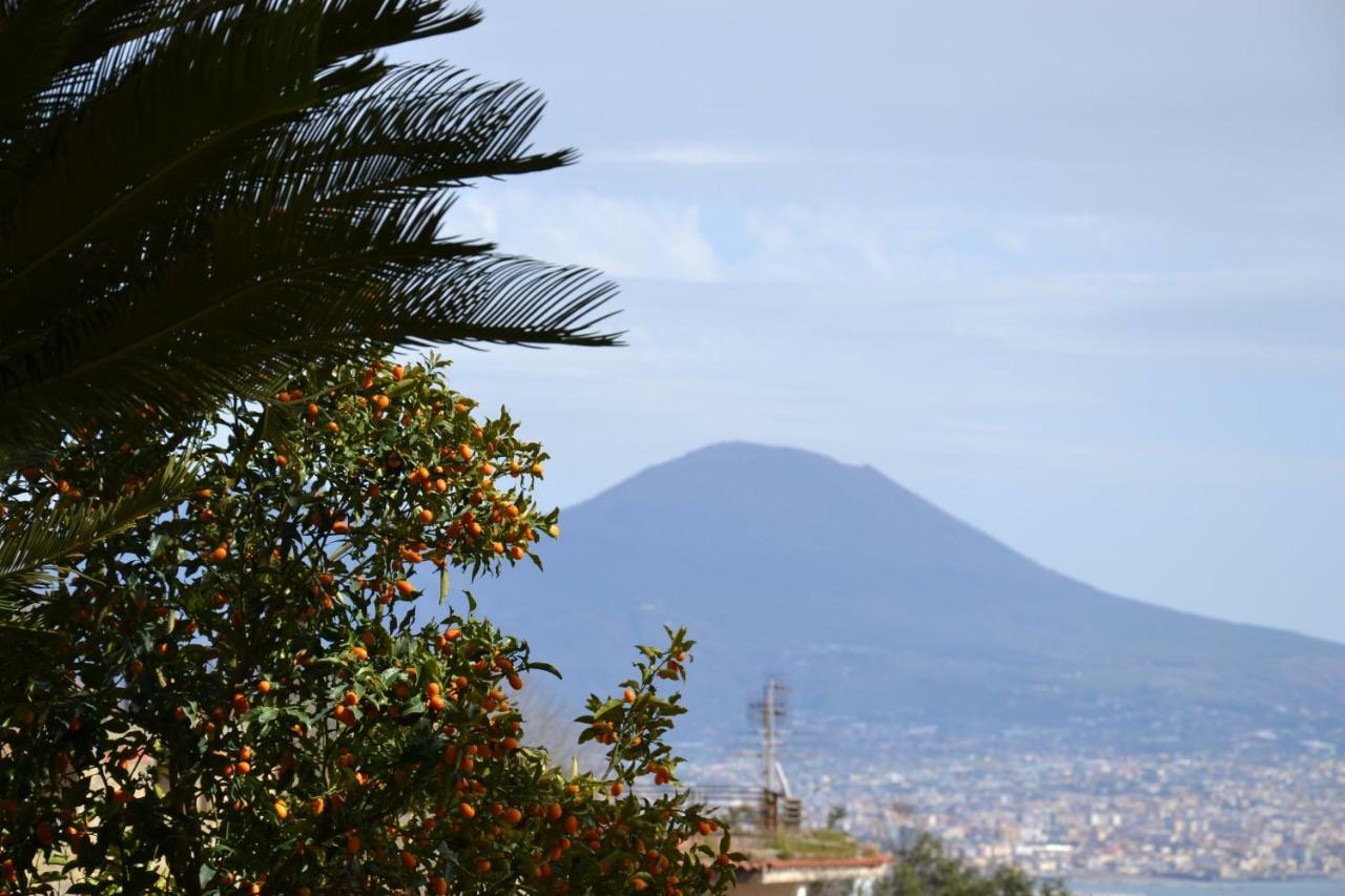 Casa Del Cedro Apartment Naples Exterior photo